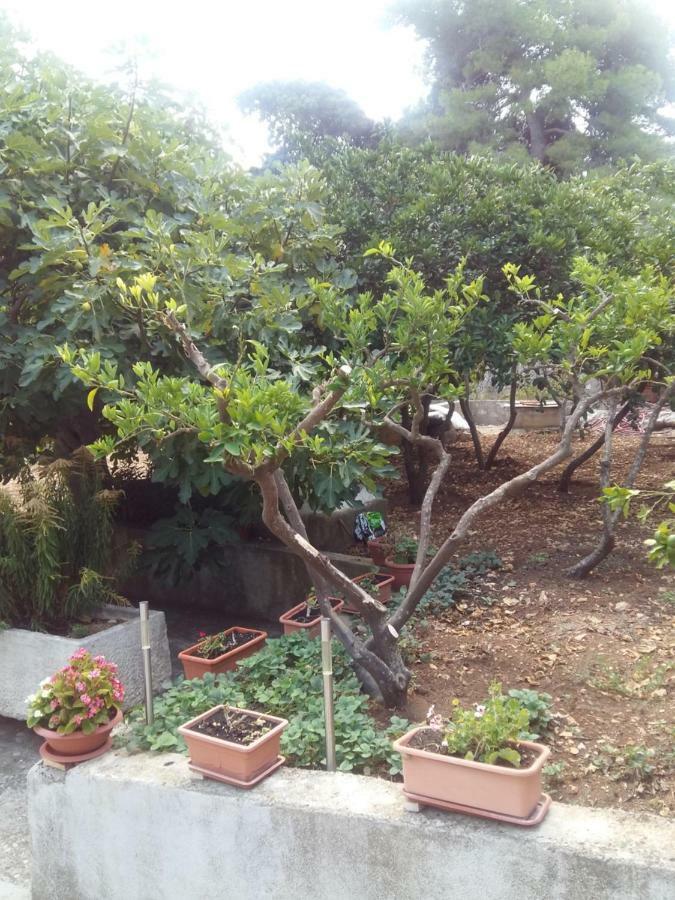 Manda Ljubetic Apartment Sutivan Ngoại thất bức ảnh